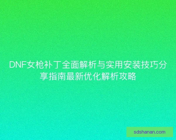 DNF女枪补丁全面解析与实用安装技巧分享指南最新优化解析攻略