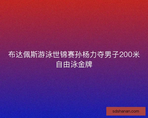 布达佩斯游泳世锦赛孙杨力夺男子200米自由泳金牌