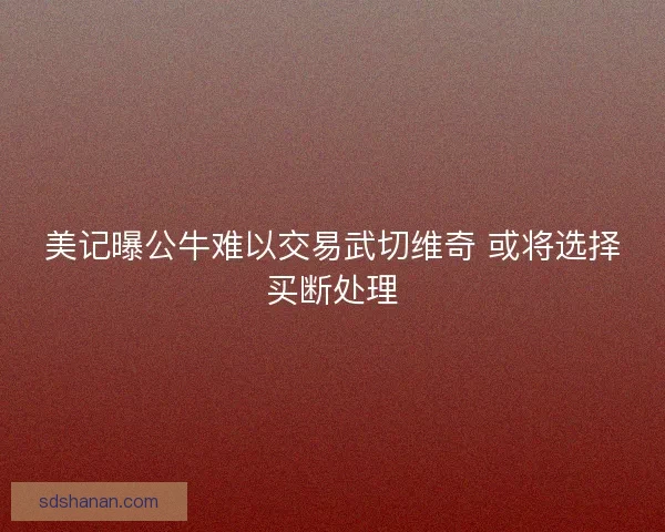美记曝公牛难以交易武切维奇 或将选择买断处理