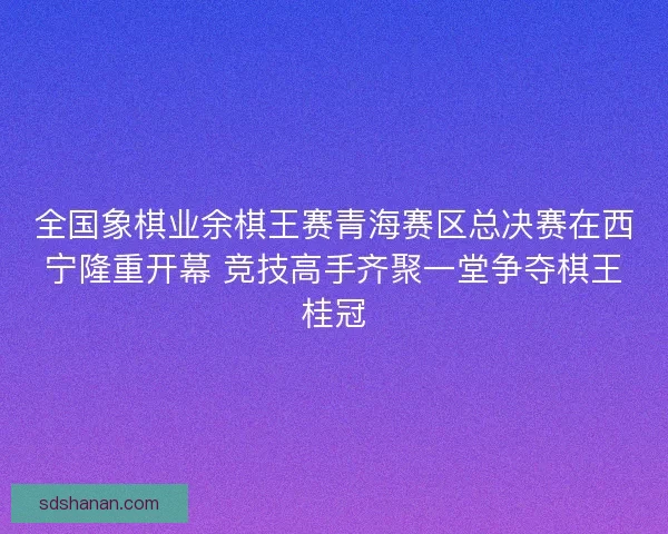 全国象棋业余棋王赛青海赛区总决赛在西宁隆重开幕 竞技高手齐聚一堂争夺棋王桂冠